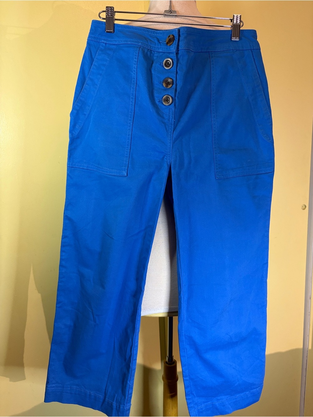 Boden Bright Royal Blue Button-Front Wide Leg Pants